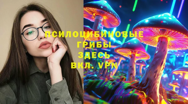 бутират Бородино