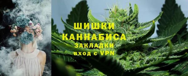 PSILOCYBIN Бронницы
