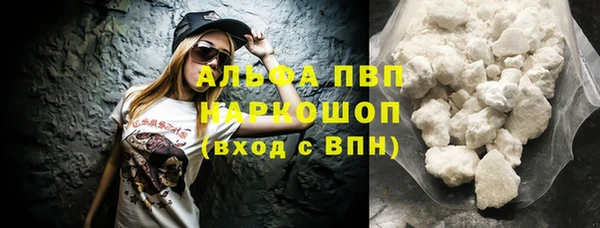 PSILOCYBIN Бронницы