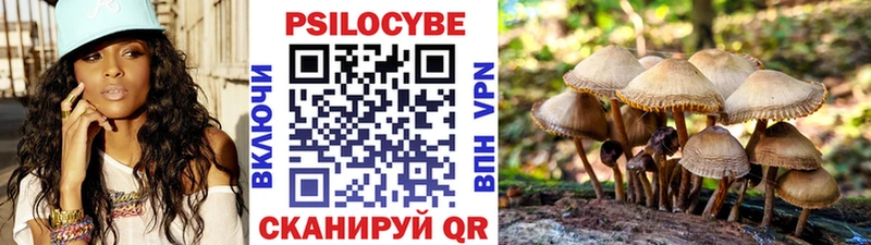 Галлюциногенные грибы Magic Shrooms  где купить наркоту  Славянск-на-Кубани 